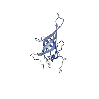 22432_7jqb_O_v1-2
SARS-CoV-2 Nsp1 and rabbit 40S ribosome complex