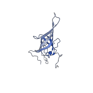 22432_7jqb_O_v1-3
SARS-CoV-2 Nsp1 and rabbit 40S ribosome complex