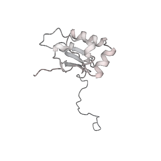 22432_7jqb_Q_v1-2
SARS-CoV-2 Nsp1 and rabbit 40S ribosome complex