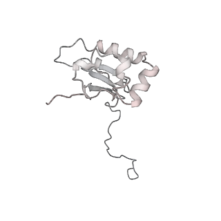 22432_7jqb_Q_v1-3
SARS-CoV-2 Nsp1 and rabbit 40S ribosome complex