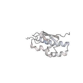 22432_7jqb_R_v1-2
SARS-CoV-2 Nsp1 and rabbit 40S ribosome complex