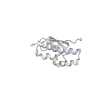 22432_7jqb_R_v1-3
SARS-CoV-2 Nsp1 and rabbit 40S ribosome complex