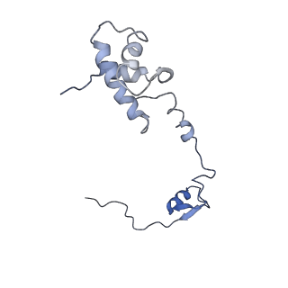 22432_7jqb_S_v1-2
SARS-CoV-2 Nsp1 and rabbit 40S ribosome complex