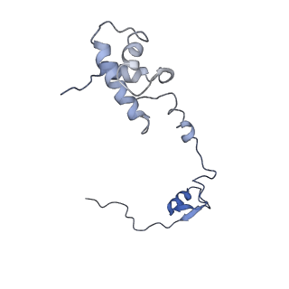 22432_7jqb_S_v1-3
SARS-CoV-2 Nsp1 and rabbit 40S ribosome complex