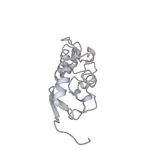 22432_7jqb_T_v1-2
SARS-CoV-2 Nsp1 and rabbit 40S ribosome complex