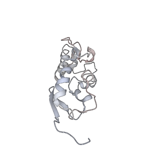 22432_7jqb_T_v1-3
SARS-CoV-2 Nsp1 and rabbit 40S ribosome complex