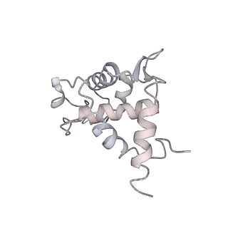 22432_7jqb_U_v1-2
SARS-CoV-2 Nsp1 and rabbit 40S ribosome complex
