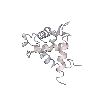 22432_7jqb_U_v1-3
SARS-CoV-2 Nsp1 and rabbit 40S ribosome complex