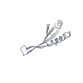 22432_7jqb_V_v1-3
SARS-CoV-2 Nsp1 and rabbit 40S ribosome complex