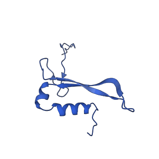 22432_7jqb_W_v1-3
SARS-CoV-2 Nsp1 and rabbit 40S ribosome complex