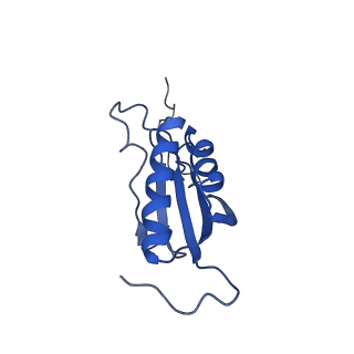 22432_7jqb_X_v1-2
SARS-CoV-2 Nsp1 and rabbit 40S ribosome complex