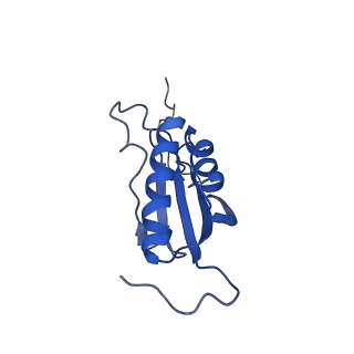 22432_7jqb_X_v1-3
SARS-CoV-2 Nsp1 and rabbit 40S ribosome complex