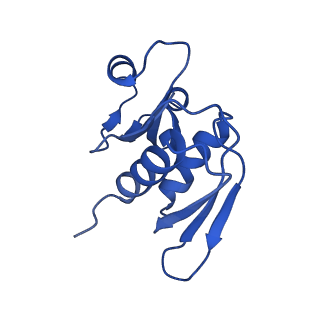 22432_7jqb_Y_v1-2
SARS-CoV-2 Nsp1 and rabbit 40S ribosome complex
