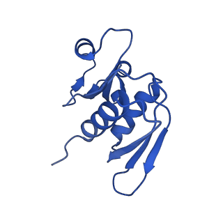 22432_7jqb_Y_v1-3
SARS-CoV-2 Nsp1 and rabbit 40S ribosome complex