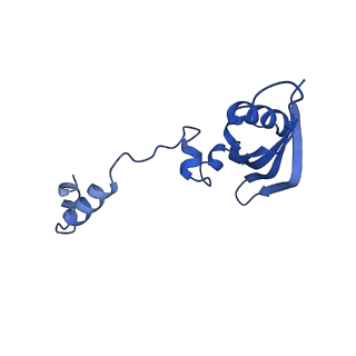 22432_7jqb_Z_v1-2
SARS-CoV-2 Nsp1 and rabbit 40S ribosome complex
