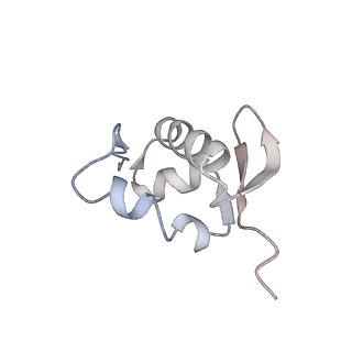 22432_7jqb_a_v1-2
SARS-CoV-2 Nsp1 and rabbit 40S ribosome complex