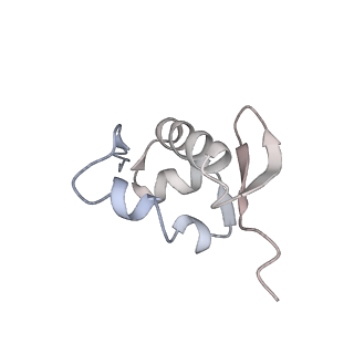 22432_7jqb_a_v1-3
SARS-CoV-2 Nsp1 and rabbit 40S ribosome complex