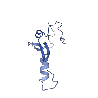 22432_7jqb_b_v1-2
SARS-CoV-2 Nsp1 and rabbit 40S ribosome complex