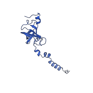 22432_7jqb_c_v1-3
SARS-CoV-2 Nsp1 and rabbit 40S ribosome complex