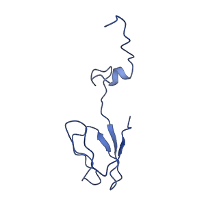 22432_7jqb_e_v1-2
SARS-CoV-2 Nsp1 and rabbit 40S ribosome complex