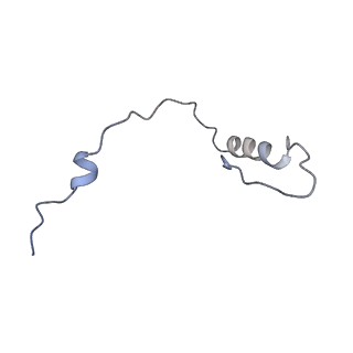 22432_7jqb_f_v1-3
SARS-CoV-2 Nsp1 and rabbit 40S ribosome complex