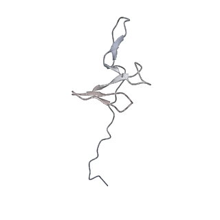 22432_7jqb_g_v1-2
SARS-CoV-2 Nsp1 and rabbit 40S ribosome complex
