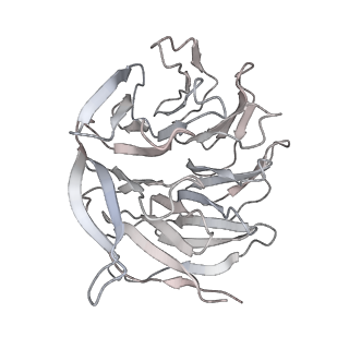 22432_7jqb_h_v1-2
SARS-CoV-2 Nsp1 and rabbit 40S ribosome complex