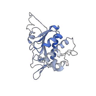 22433_7jqc_B_v1-2
SARS-CoV-2 Nsp1, CrPV IRES and rabbit 40S ribosome complex