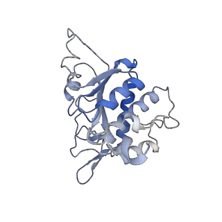 22433_7jqc_B_v1-3
SARS-CoV-2 Nsp1, CrPV IRES and rabbit 40S ribosome complex