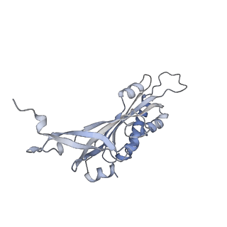 22433_7jqc_C_v1-2
SARS-CoV-2 Nsp1, CrPV IRES and rabbit 40S ribosome complex