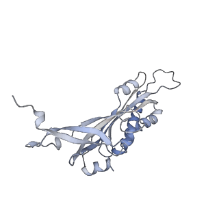 22433_7jqc_C_v1-3
SARS-CoV-2 Nsp1, CrPV IRES and rabbit 40S ribosome complex