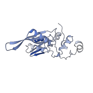 22433_7jqc_D_v1-2
SARS-CoV-2 Nsp1, CrPV IRES and rabbit 40S ribosome complex