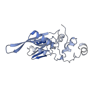 22433_7jqc_D_v1-3
SARS-CoV-2 Nsp1, CrPV IRES and rabbit 40S ribosome complex