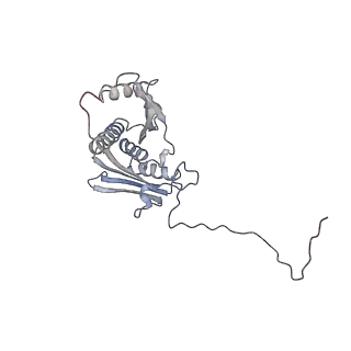 22433_7jqc_E_v1-2
SARS-CoV-2 Nsp1, CrPV IRES and rabbit 40S ribosome complex