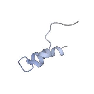 22433_7jqc_F_v1-3
SARS-CoV-2 Nsp1, CrPV IRES and rabbit 40S ribosome complex