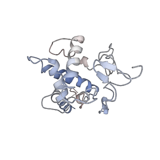 22433_7jqc_G_v1-2
SARS-CoV-2 Nsp1, CrPV IRES and rabbit 40S ribosome complex