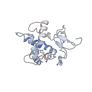 22433_7jqc_G_v1-3
SARS-CoV-2 Nsp1, CrPV IRES and rabbit 40S ribosome complex