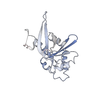 22433_7jqc_I_v1-2
SARS-CoV-2 Nsp1, CrPV IRES and rabbit 40S ribosome complex