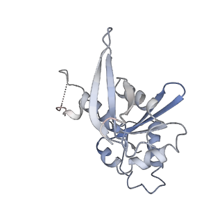 22433_7jqc_I_v1-3
SARS-CoV-2 Nsp1, CrPV IRES and rabbit 40S ribosome complex