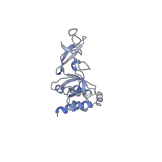 22433_7jqc_J_v1-2
SARS-CoV-2 Nsp1, CrPV IRES and rabbit 40S ribosome complex