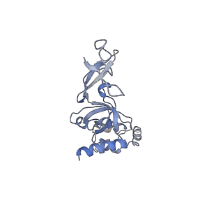 22433_7jqc_J_v1-3
SARS-CoV-2 Nsp1, CrPV IRES and rabbit 40S ribosome complex