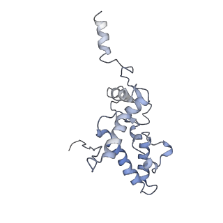 22433_7jqc_K_v1-2
SARS-CoV-2 Nsp1, CrPV IRES and rabbit 40S ribosome complex