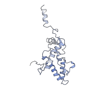 22433_7jqc_K_v1-3
SARS-CoV-2 Nsp1, CrPV IRES and rabbit 40S ribosome complex