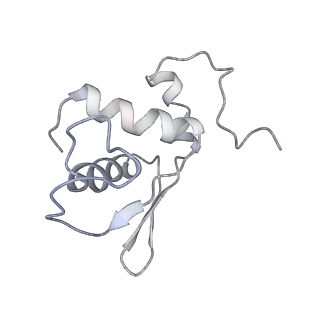 22433_7jqc_L_v1-2
SARS-CoV-2 Nsp1, CrPV IRES and rabbit 40S ribosome complex