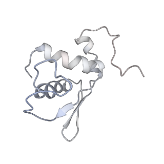 22433_7jqc_L_v1-3
SARS-CoV-2 Nsp1, CrPV IRES and rabbit 40S ribosome complex