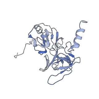 22433_7jqc_M_v1-3
SARS-CoV-2 Nsp1, CrPV IRES and rabbit 40S ribosome complex