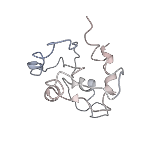 22433_7jqc_N_v1-3
SARS-CoV-2 Nsp1, CrPV IRES and rabbit 40S ribosome complex