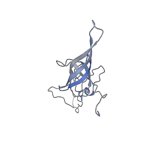 22433_7jqc_O_v1-2
SARS-CoV-2 Nsp1, CrPV IRES and rabbit 40S ribosome complex