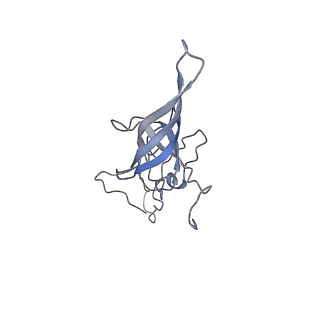 22433_7jqc_O_v1-3
SARS-CoV-2 Nsp1, CrPV IRES and rabbit 40S ribosome complex