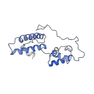 22433_7jqc_P_v1-2
SARS-CoV-2 Nsp1, CrPV IRES and rabbit 40S ribosome complex